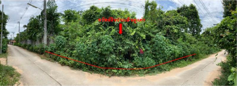 ที่ดินหลุดจำนอง ธ.ธนาคารออมสิน ตาก เมืองตาก ไม้งาม