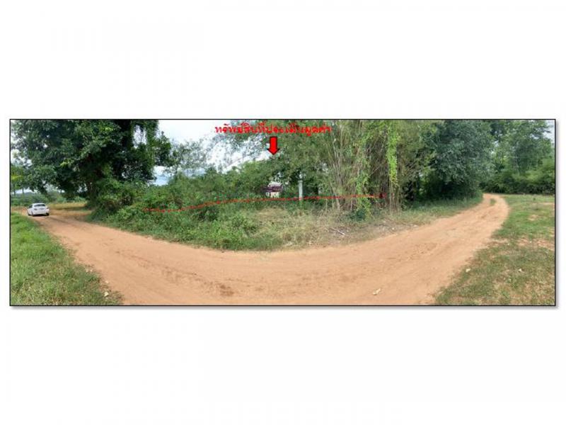 ที่ดินพร้อมสิ่งปลูกสร้างหลุดจำนอง ธ.ธนาคารออมสิน ตาก เมืองตาก แม่ท้อ