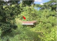 บ้านเดี่ยวหลุดจำนอง ธ.ธนาคารอาคารสงเคราะห์ ตาก เมืองตาก ไม้งาม